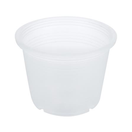 กระถางต้นไม้ SPRING 5.5 นิ้ว สีขาวใส แพ็ค 5 ใบ_0