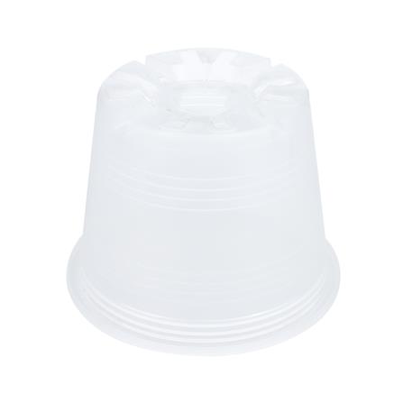 กระถางต้นไม้ SPRING 5.5 นิ้ว สีขาวใส แพ็ค 5 ใบ_1