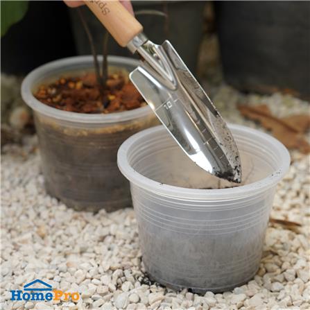 กระถางต้นไม้ SPRING 6 นิ้ว สีขาวใส แพ็ค 5 ใบ_3