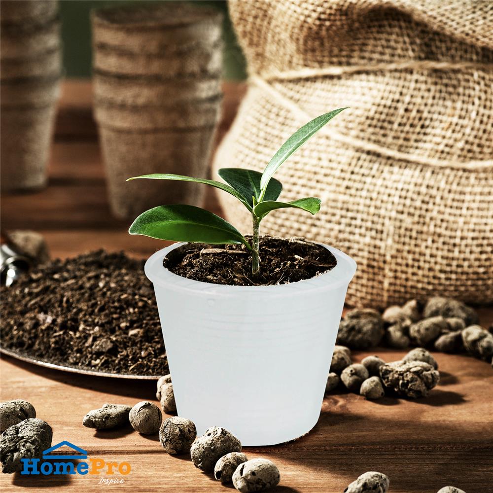 กระถางต้นไม้ SPRING 4 นิ้ว สีขาวใส แพ็ค 8 ใบ