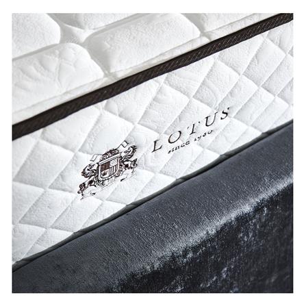 ที่นอน 3.5 ฟุต LOTUS KIMBER_1