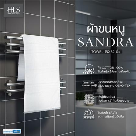 ผ้าขนหนู HOME LIVING STYLE SANDRA 15X32 นิ้ว สีเทา_6