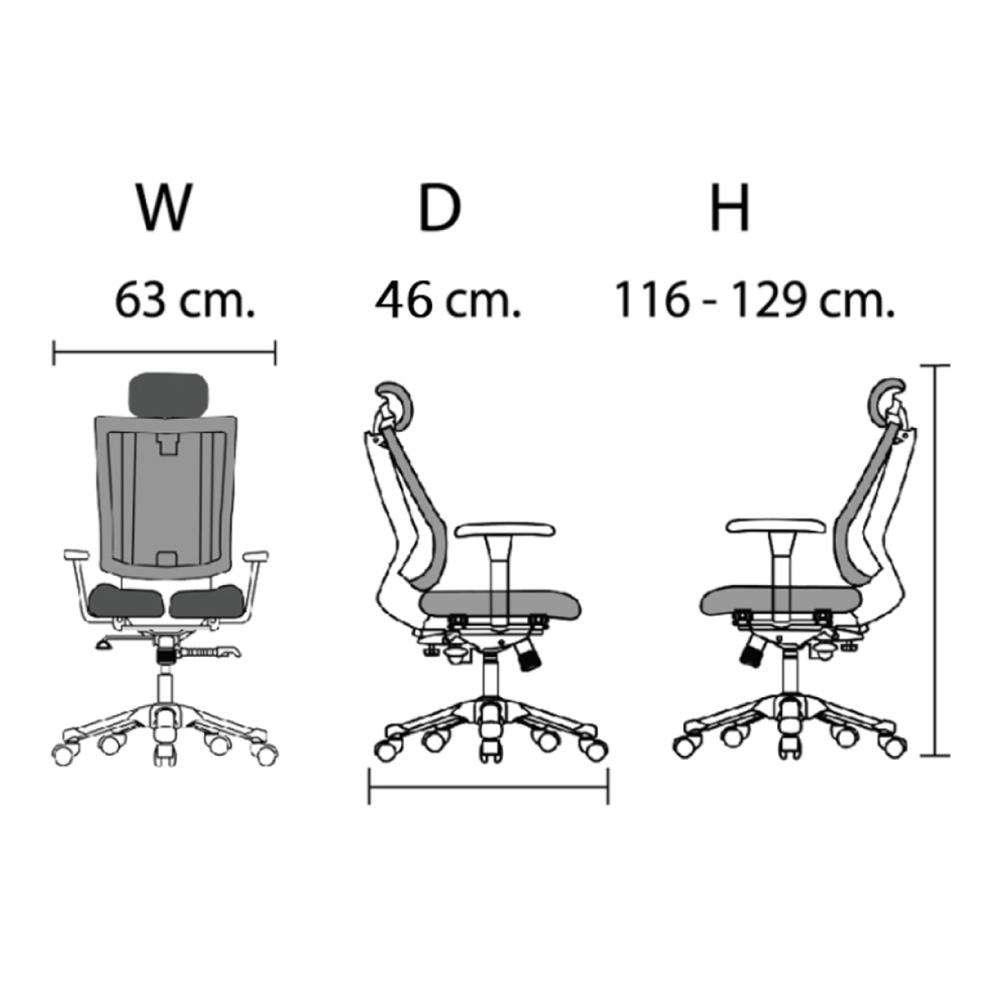 เก้าอี้สุขภาพ HARA CHAIR THALES-2 สีดำ