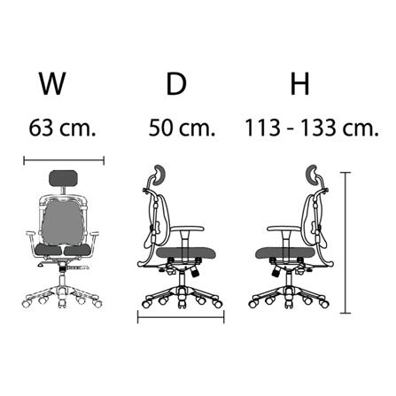 เก้าอี้เพื่อสุขภาพ HARA CHAIR ZENON-LB สีดำ_4