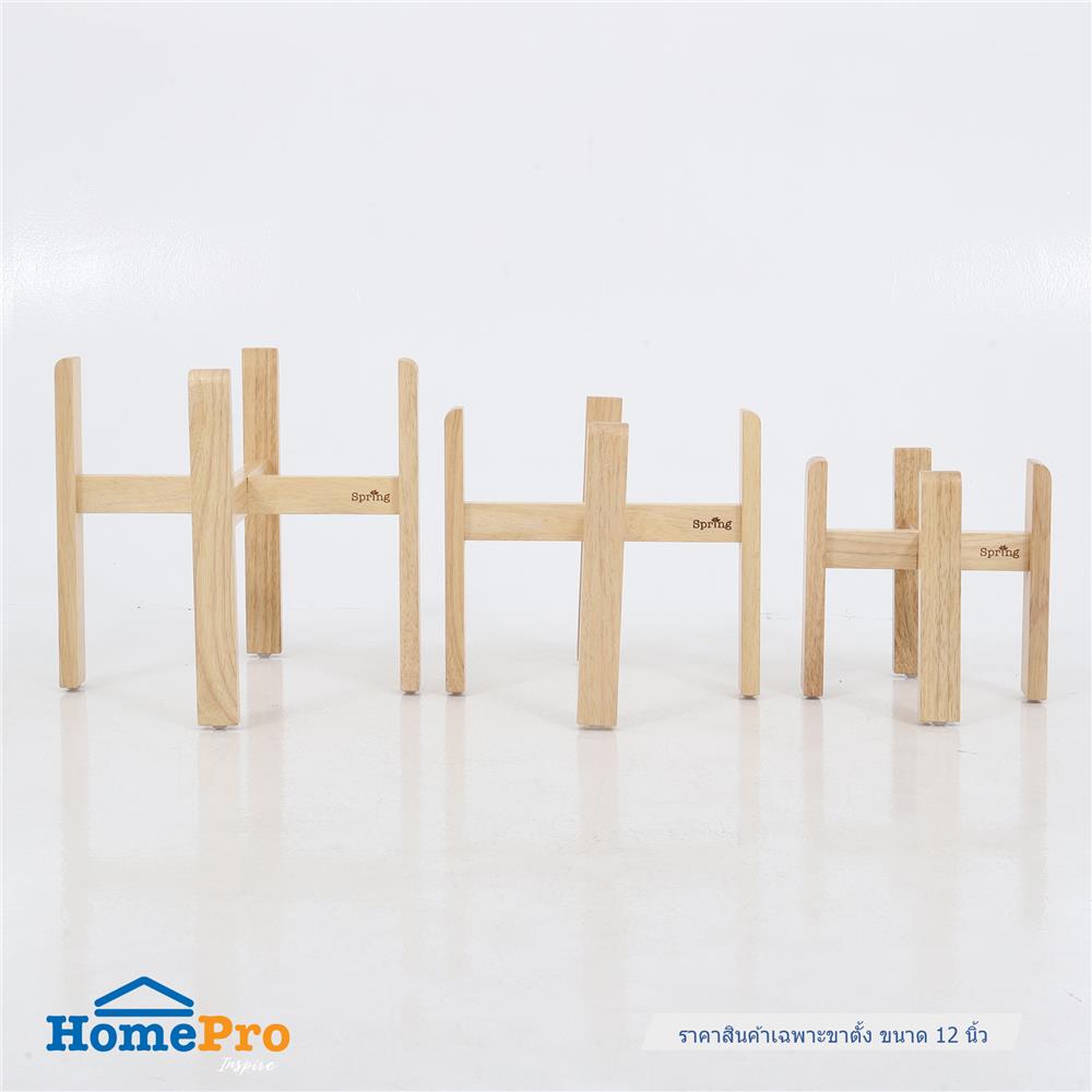 ขาตั้งกระถางต้นไม้ยางพารา 12 นิ้ว SPRING