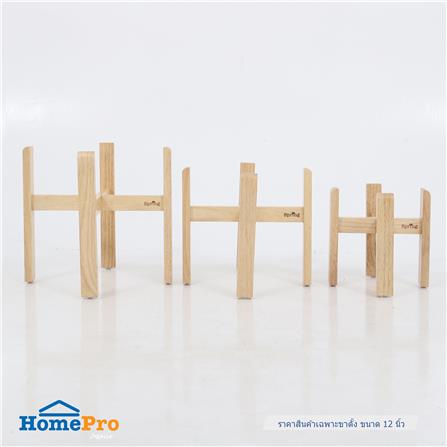 ขาตั้งกระถางต้นไม้ยางพารา 12 นิ้ว SPRING_4