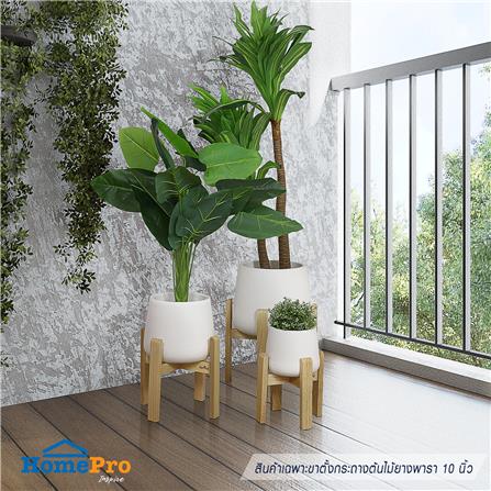 ขาตั้งกระถางต้นไม้ยางพารา 10 นิ้ว SPRING_5