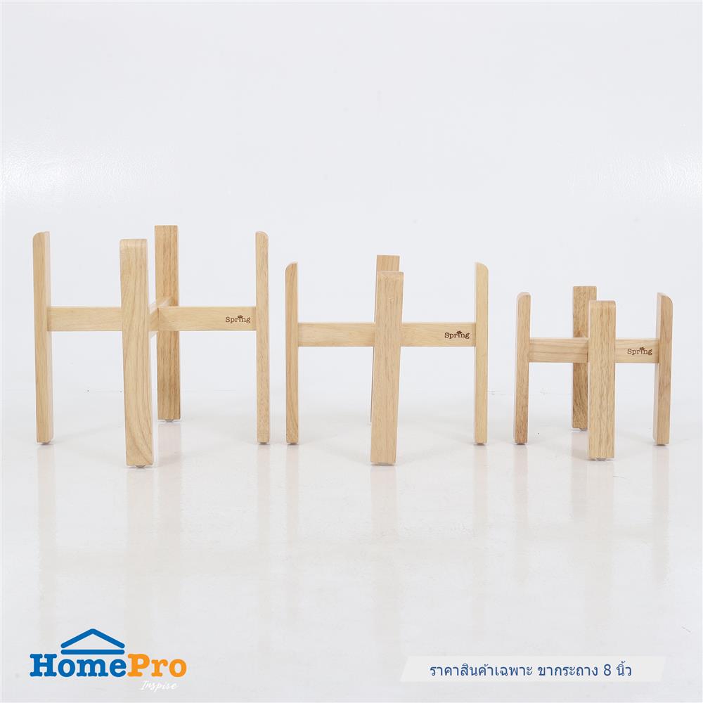 ขาตั้งกระถางต้นไม้ยางพารา 8 นิ้ว SPRING