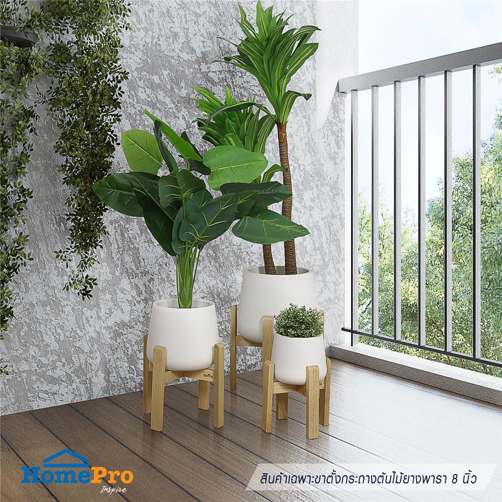 ขาตั้งกระถางต้นไม้ยางพารา 8 นิ้ว SPRING