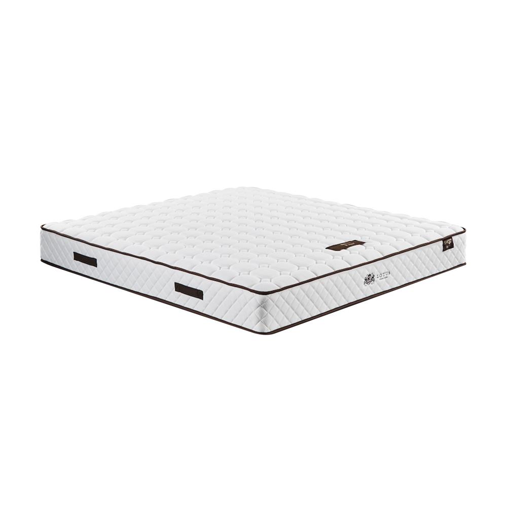 ที่นอน 5 ฟุต LOTUS KIMBER