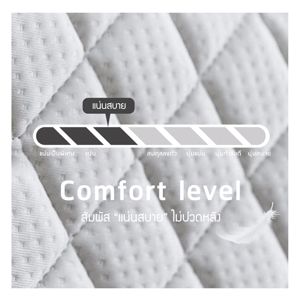 ที่นอน 5 ฟุต LOTUS KIMBER