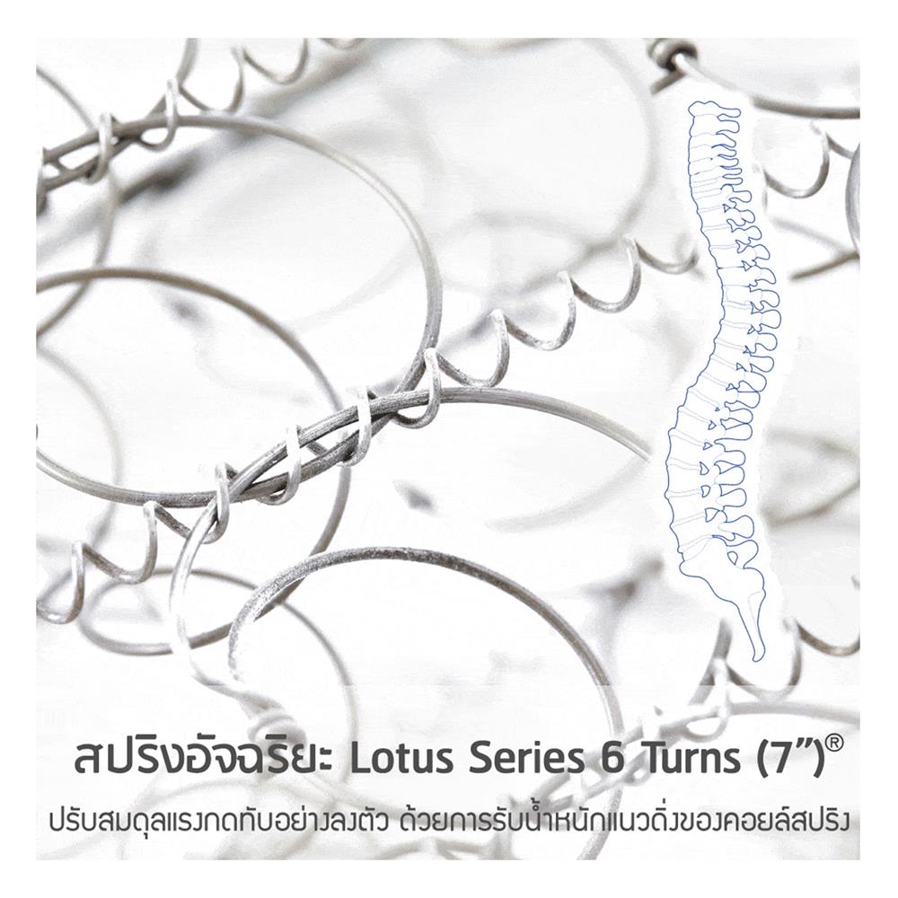 ที่นอน 5 ฟุต LOTUS KIMBER