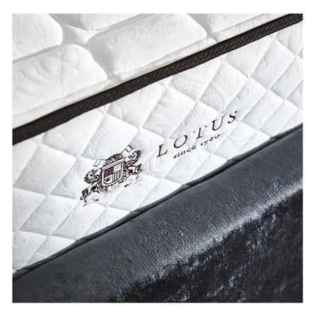 ที่นอน 5 ฟุต LOTUS KIMBER_1