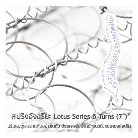 ที่นอน 5 ฟุต LOTUS KIMBER_4