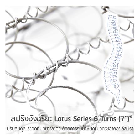 ที่นอน 5 ฟุต LOTUS ZYMPHONY_4