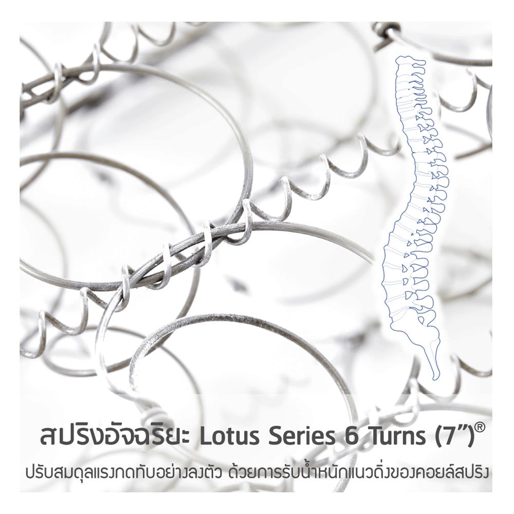 ที่นอน 3.5 ฟุต LOTUS ZYMPHONY