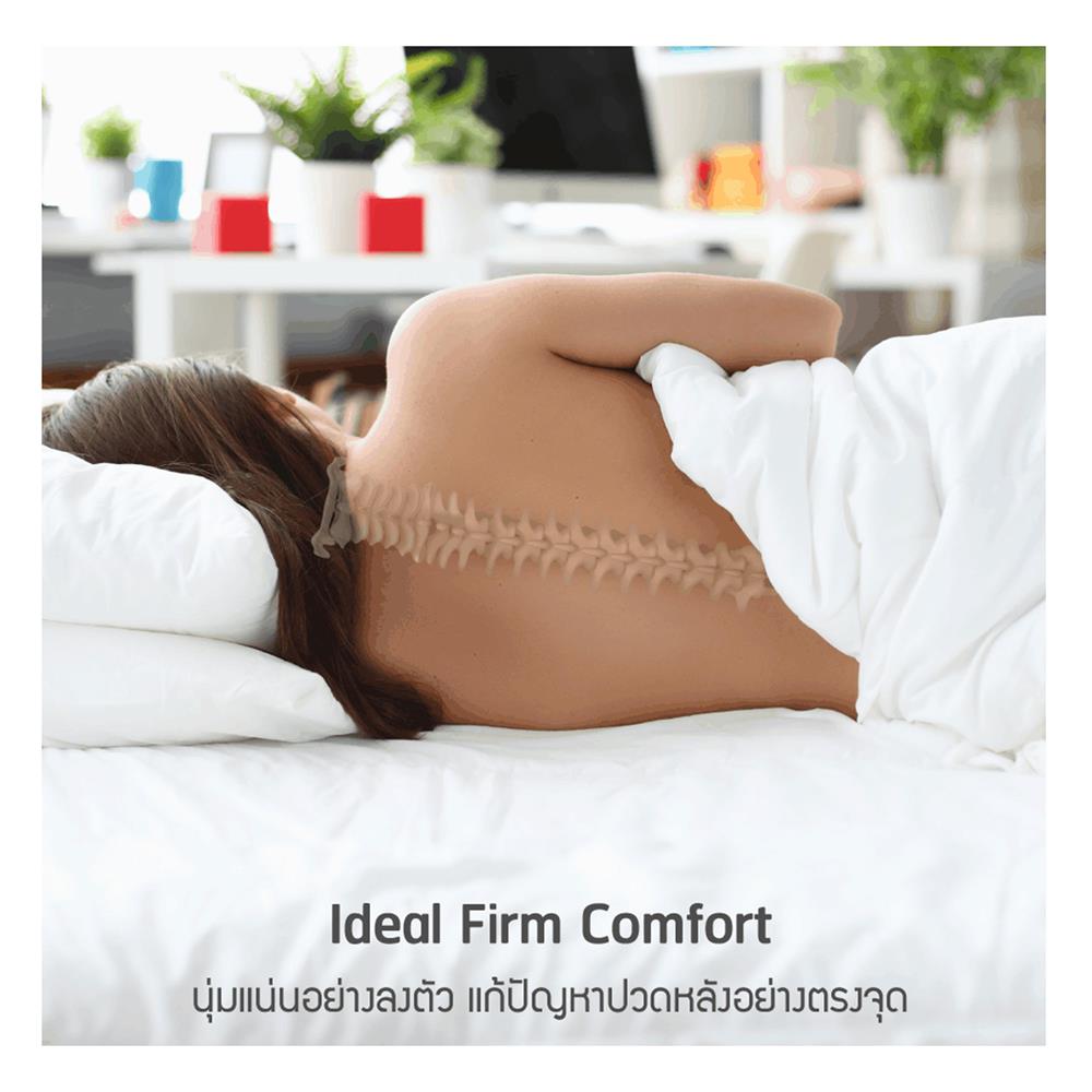 ที่นอน 3.5 ฟุต LOTUS ZYMPHONY