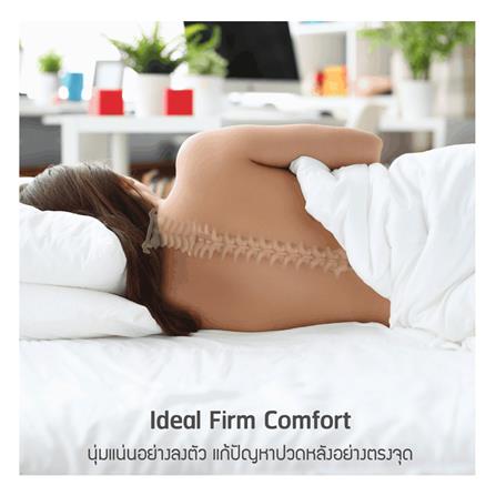 ที่นอน 3.5 ฟุต LOTUS ZYMPHONY_7