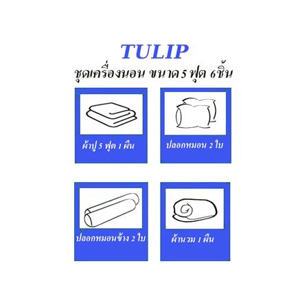 ชุดผ้าปูที่นอน 5 ฟุต 6 ชิ้น TULIP IN THE MOMENT 60236-DL403_4