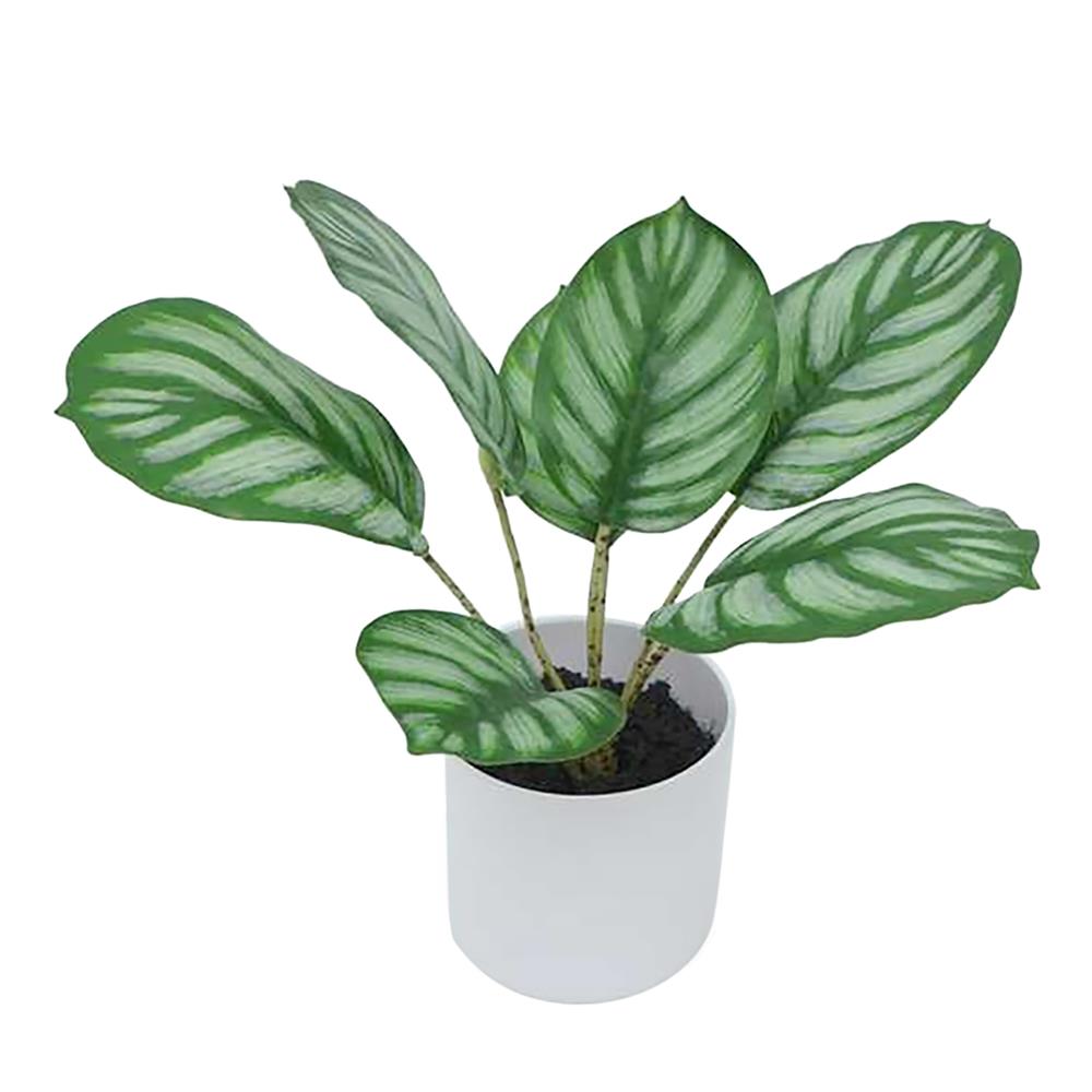 ต้นคล้าใบตองประดิษฐ์ในกระถางเมลามีน SPRING 25 ซม.