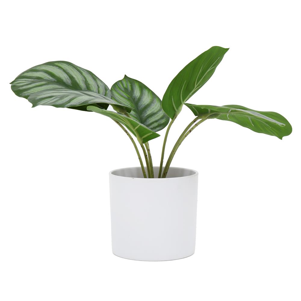 ต้นคล้าใบตองประดิษฐ์ในกระถางเมลามีน SPRING 25 ซม.