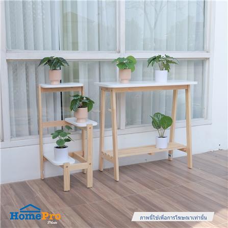 ต้นคล้าใบตองประดิษฐ์ในกระถางเมลามีน SPRING 25 ซม._5