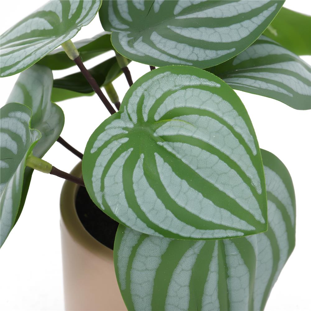 ต้นแนบอุราประดิษฐ์ในกระถางเซรามิก SPRING 22 ซม.