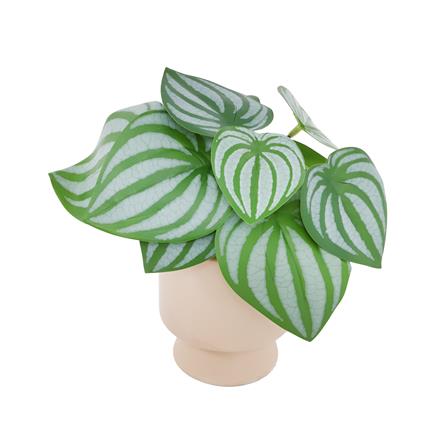 ต้นแนบอุราประดิษฐ์ในกระถางเซรามิก SPRING 22 ซม._1