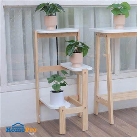 ต้นแนบอุราประดิษฐ์ในกระถางเซรามิก SPRING 22 ซม._5