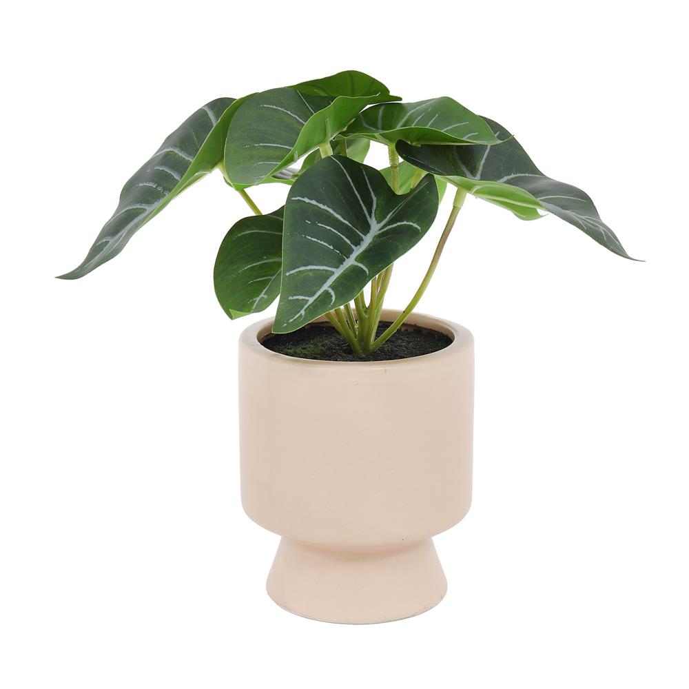 ต้นเงินไหลมาประดิษฐ์ในกระถางเซรามิก SPRING 22 ซม.