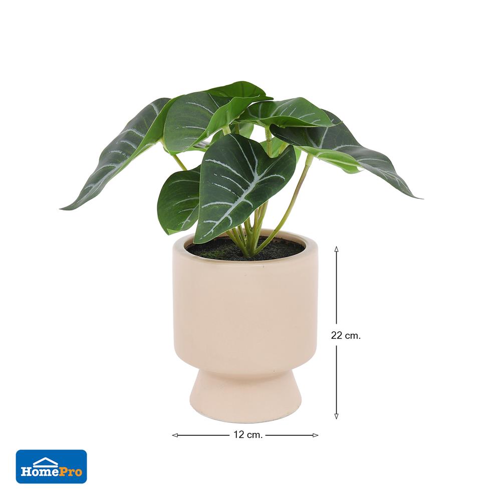 ต้นเงินไหลมาประดิษฐ์ในกระถางเซรามิก SPRING 22 ซม.