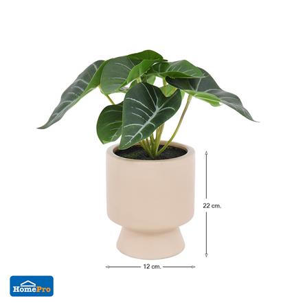 ต้นเงินไหลมาประดิษฐ์ในกระถางเซรามิก SPRING 22 ซม._5