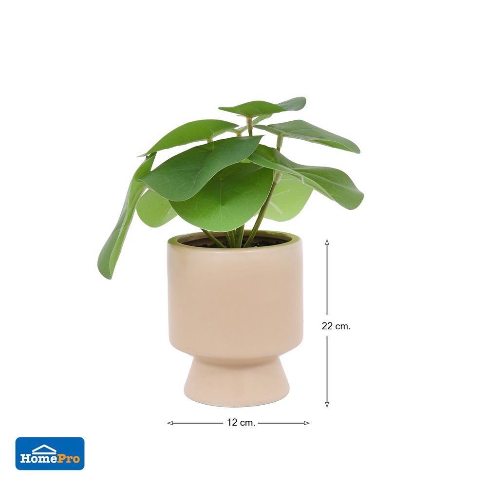 ต้นเหรียญเงินประดิษฐ์ในกระถางเซรามิก SPRING 22 ซม.