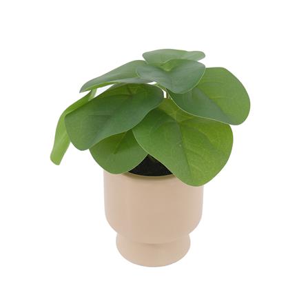 ต้นเหรียญเงินประดิษฐ์ในกระถางเซรามิก SPRING 22 ซม._1