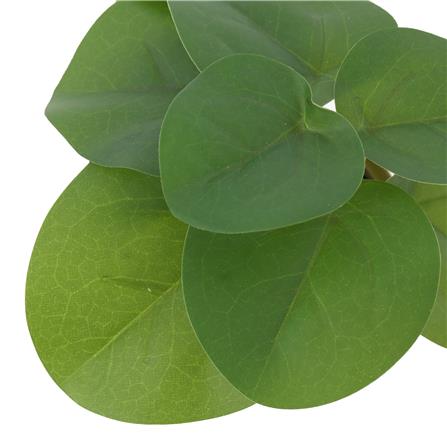 ต้นเหรียญเงินประดิษฐ์ในกระถางเซรามิก SPRING 22 ซม._2