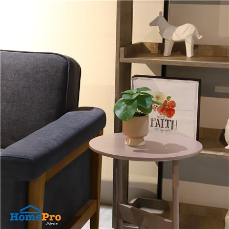 ต้นเหรียญเงินประดิษฐ์ในกระถางเซรามิก SPRING 22 ซม._3