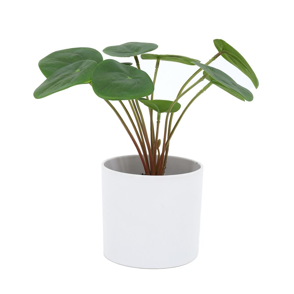 ต้นเหรียญเงินประดิษฐ์ในกระถางเมลามีน SPRING 22 ซม.