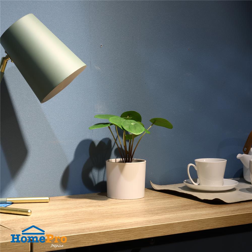 ต้นเหรียญเงินประดิษฐ์ในกระถางเมลามีน SPRING 22 ซม.