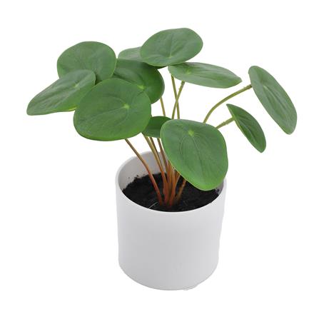 ต้นเหรียญเงินประดิษฐ์ในกระถางเมลามีน SPRING 22 ซม._1