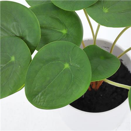 ต้นเหรียญเงินประดิษฐ์ในกระถางเมลามีน SPRING 22 ซม._2