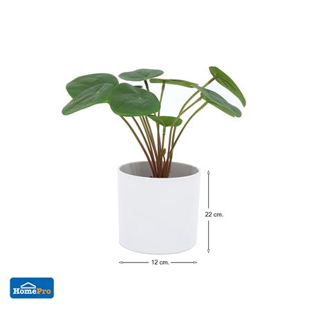 ต้นเหรียญเงินประดิษฐ์ในกระถางเมลามีน SPRING 22 ซม._5