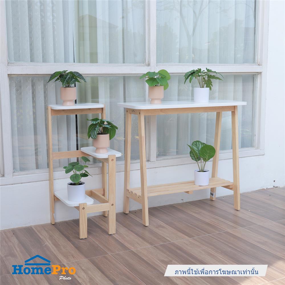 ต้นซานาดูประดิษฐ์ในกระถางเมลามีน SPRING 22 ซม.