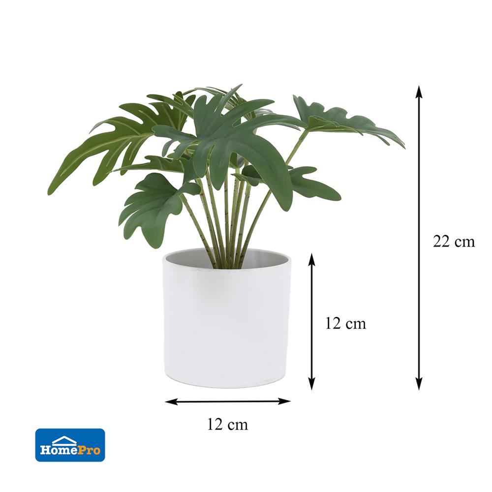 ต้นซานาดูประดิษฐ์ในกระถางเมลามีน SPRING 22 ซม.