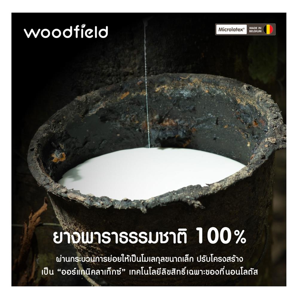 ที่นอน 5 ฟุต WOODFIELD W-NATURE I พร้อมหมอนหนุน 2 ชิ้น