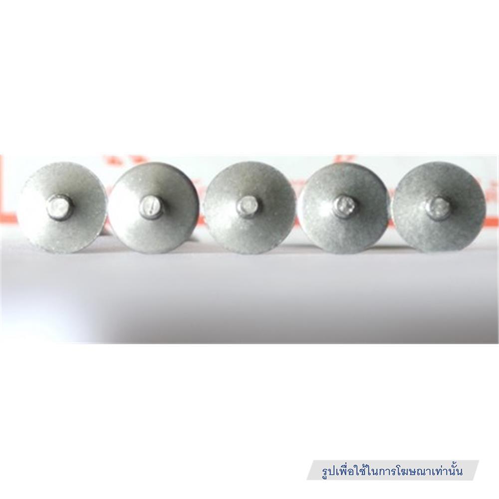 ตะปูสังกะสี หมวกเขียว ตรานายช่าง 1-3/4 นิ้ว เบอร์ 13 (แพ็ก 40 ชิ้น)