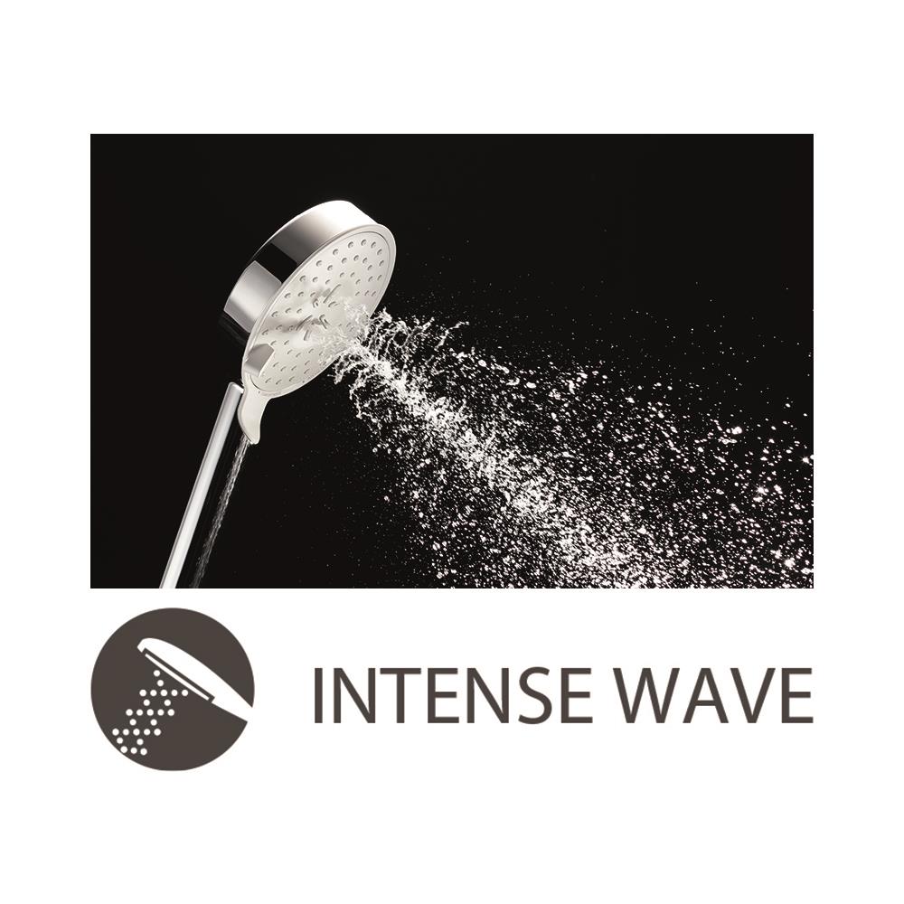 ชุดฝักบัวสายอ่อน 5 ระดับ TOTO TTSR106EMFK สีโครม