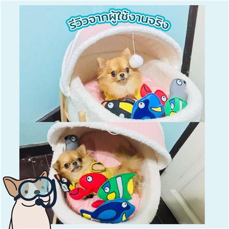 ของเล่นสุนัข KAFBO SEA WORLD LOBSTER_4