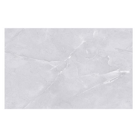 กระเบื้องผนัง 25x40 ซม. TARA ดานัส เกรย์_0