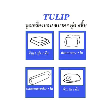 ชุดผ้าปูที่นอน 5 ฟุต 6 ชิ้น TULIP IN THE MOMENT 60236-DL404_4