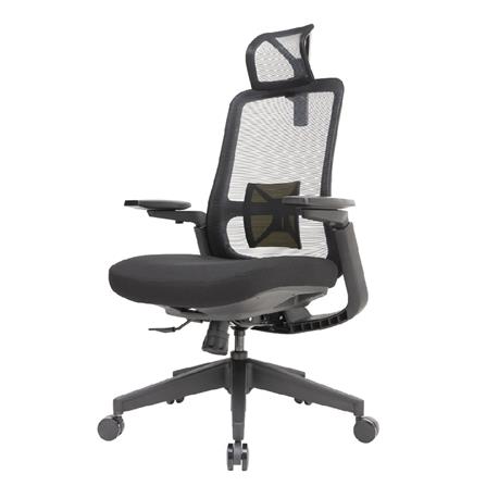 D.I.Y. เก้าอี้สุขภาพ WORKSCAPE LIBRA LITE WCH-0000...